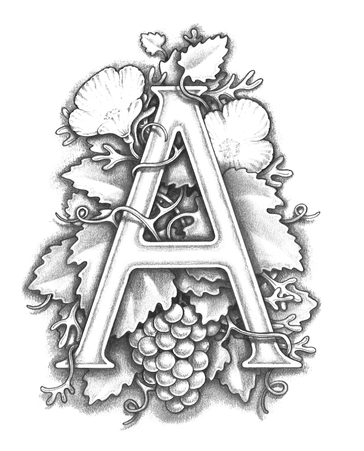 Amapola Creek Winery