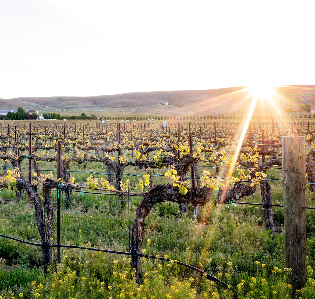 Hedges Family Estate