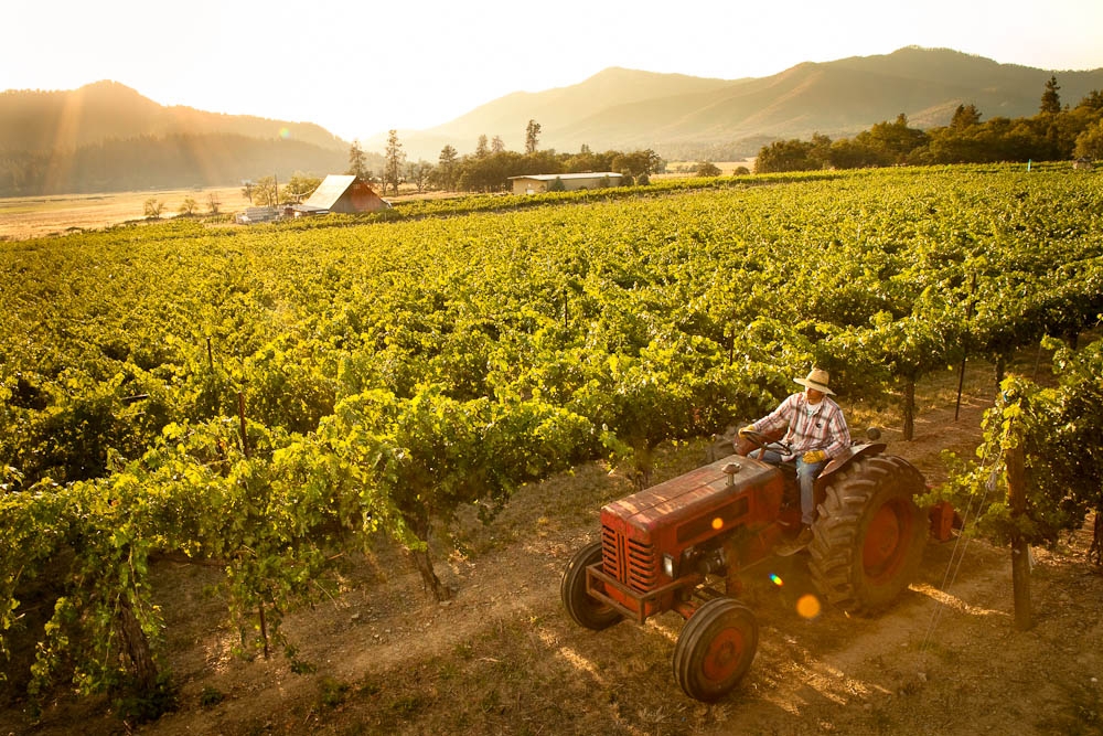 Valley View Winery